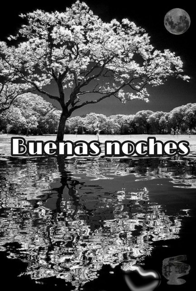 Pensamientos De Amor Buenas Noches Para Facebook