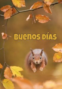 Pensamientos De Amor De Buenos Dias Para Descargar