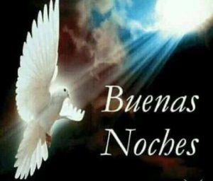 Pensamientos De Buenas Noches De Amor