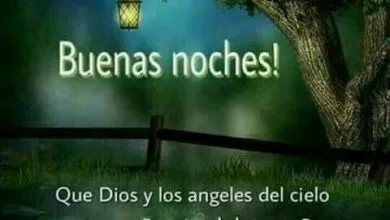 Photo of Pensamientos De Buenas Noches Para Mi Amor Para Whatsapp