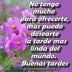 Pensamientos De Buenas Tardes Para Whatsapp Celular