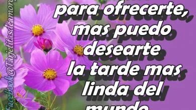 Photo of Pensamientos De Buenas Tardes Para Whatsapp Celular