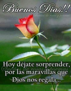 Pensamientos De Buenos Dias