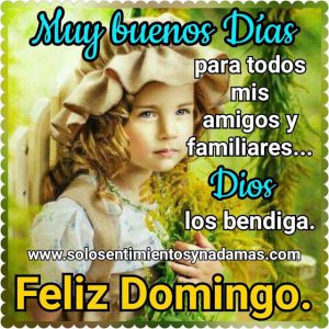Pensamientos De Feliz Domingo Para Celular