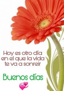 Pensamientos Para Dar Los Buenos Dias Para Celular