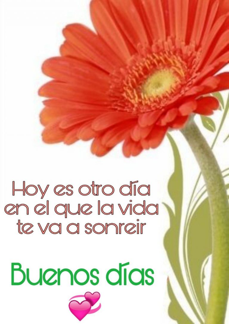 Pensamientos Para Dar Los Buenos Dias Para Celular