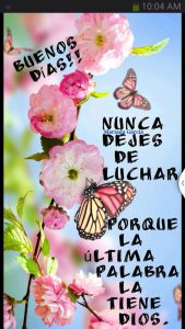 Pensamientos Para Dar Los Buenos Dias Para Facebook