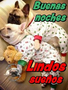 Pensión dulces sueños para descargar al celular