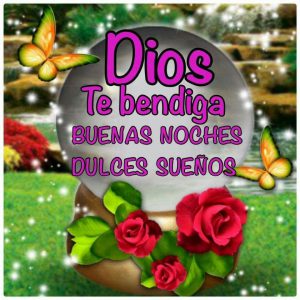 Plastiko dulces sueños para WhatsApp
