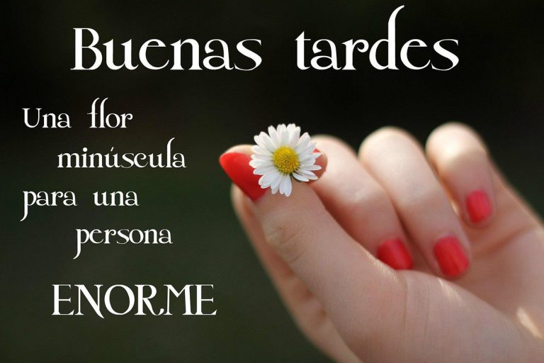 Poemas Buenas Tardes Para Whatsapp Celular