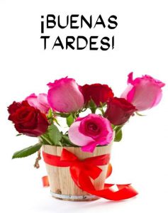 Poemas de buenas tardes para Facebook y WhatsApp