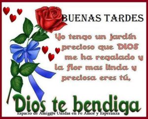 Poemas de buenas tardes para WhatsApp celular