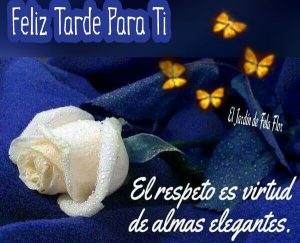 Poemas De Feliz Tarde Para Whatsapp Celular