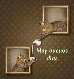 Poemas Para Desear Buenos Dias Para Descargar