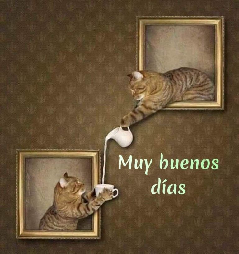Poemas Para Desear Buenos Dias Para Descargar
