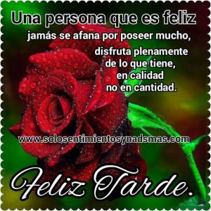 Postales Cristianas De Buenas Tardes Para Whatsapp Celular