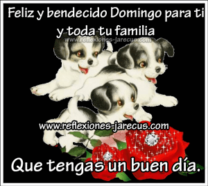 Postales Cristianas Feliz Domingo Para Celular