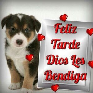 Postales de buenas tardes gratis para WhatsApp celular