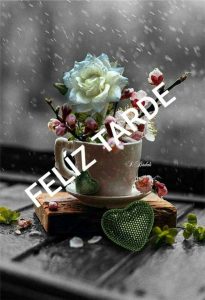 Postales De Buenas Tardes Para Facebook Para Whatsapp Celular