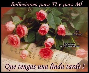 Postales De Buenas Tardes Para Whatsapp Celular