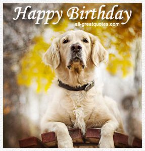 Postales de feliz cumpleaños para descargar por WhatsApp