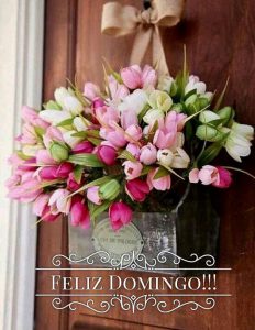 Postales Feliz Domingo Para Celular