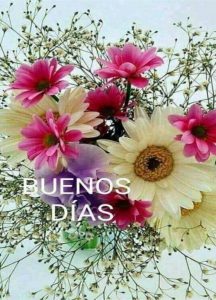 Preciosas Imagenes De Buenos Dias Para Celular