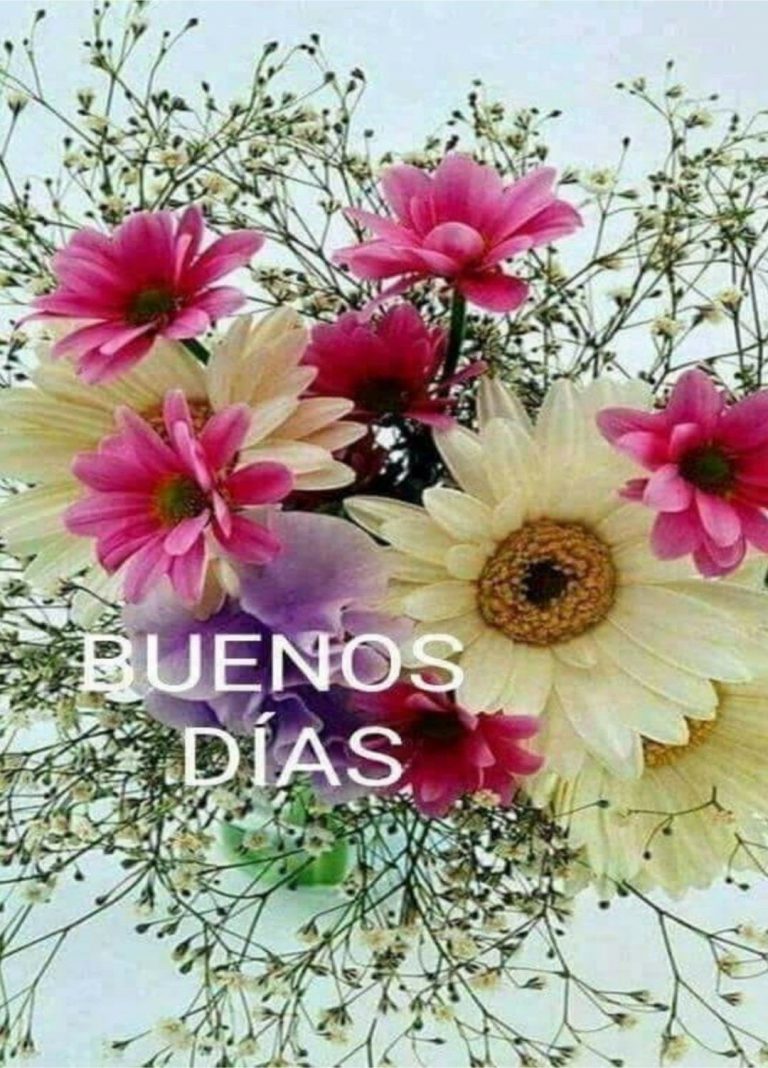 Preciosas Imagenes De Buenos Dias Para Celular