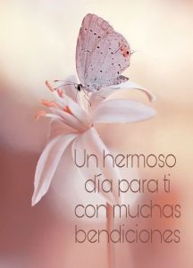 Preciosas Imagenes De Buenos Dias Para Descargar