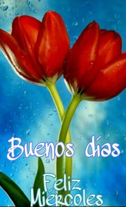 Preciosas Imagenes De Buenos Dias Para Whatsapp