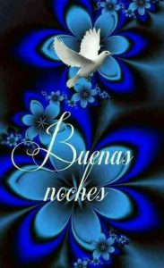 Que Pasen Buenas Noches Para Whatsapp