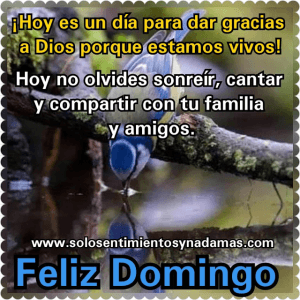 Que pasen un feliz domingo para celular