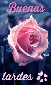 Que Significa Buenas Tardes Para Whatsapp Celular