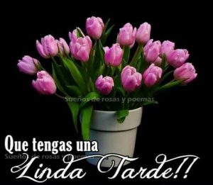 Que tengas una hermosa tarde mi amor para WhatsApp celular