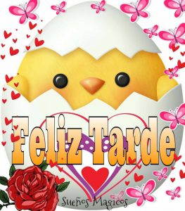 Que tengas una hermosa tarde para WhatsApp celular