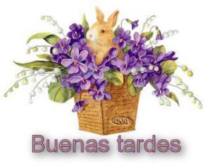 Que Tengas Una Linda Tarde Para Whatsapp Celular