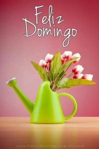 Reflexion Para Hoy Domingo Para Celular