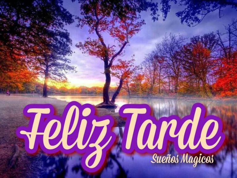 Reflexiones De Buenas Tardes Para Whatsapp Celular