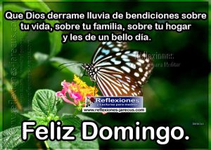 Reflexiones feliz domingo para celular
