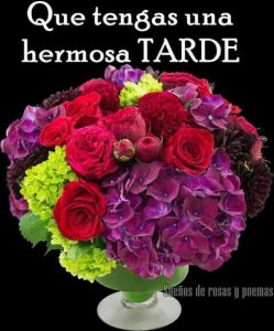 Rosas De Buenas Tardes Para Whatsapp Celular