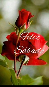Sabado De Amor Para Whatsapp