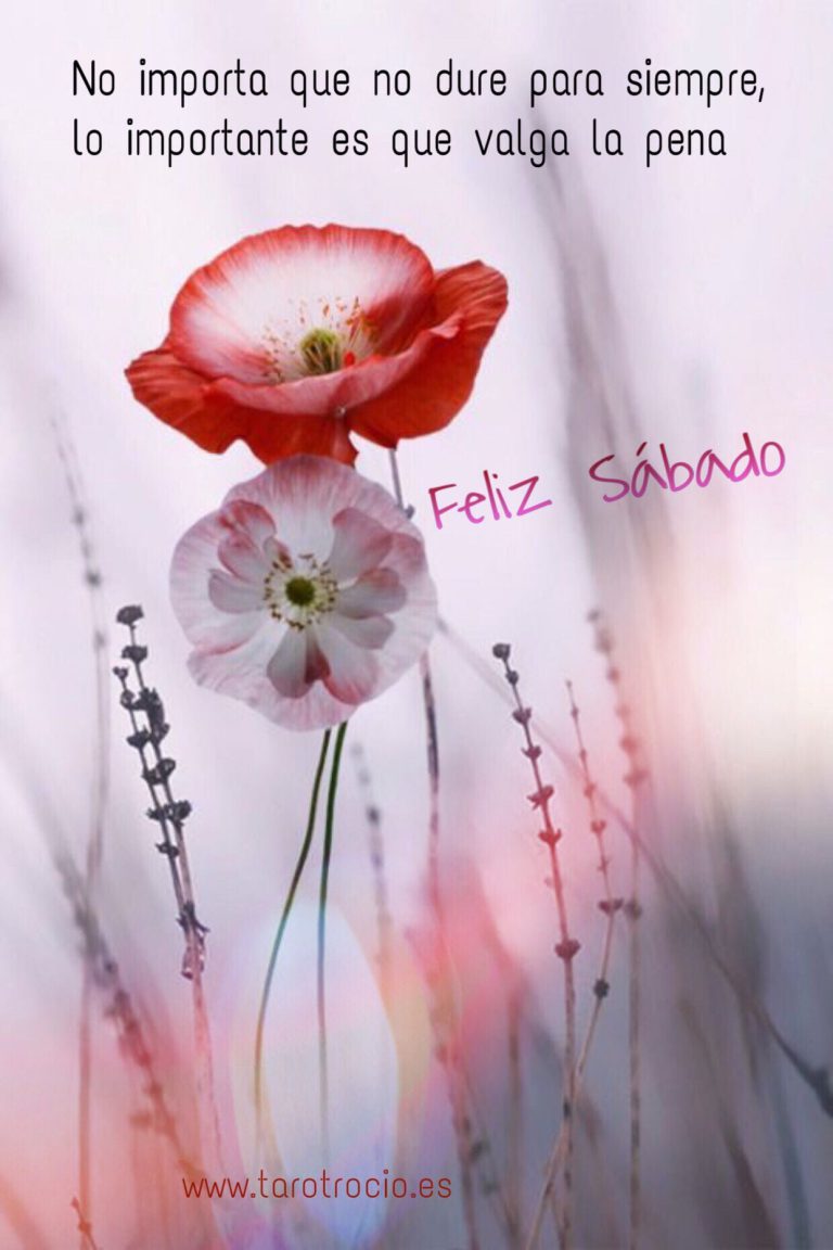 Sabado De Felicidad Para Facebook