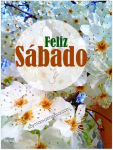 Sabado Feliz Facebook Para Descargar