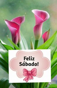 Sabado Frases Para Descargar