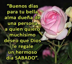 Sabado Whatsapp Para Celular