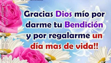 Photo of Sabado Whatsapp Para Whatsapp