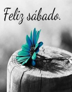 Sabados Felices Para Whatsapp