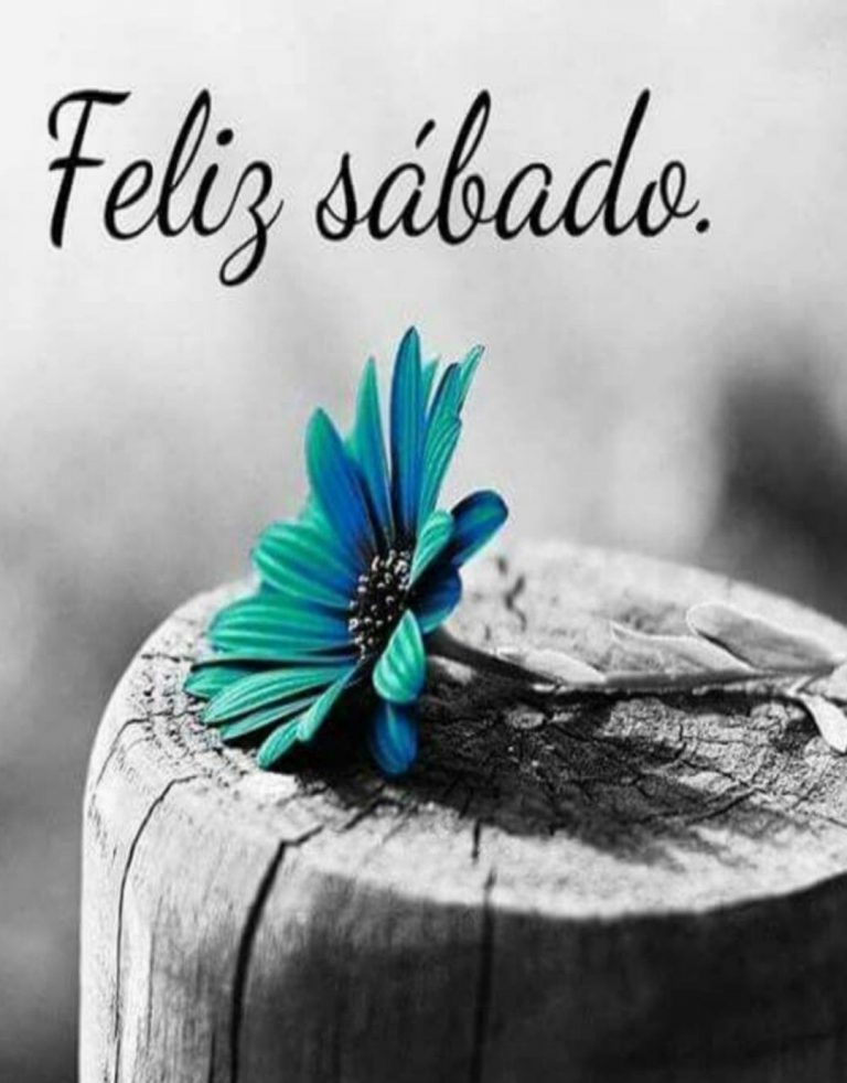 Sabados Felices Para Whatsapp
