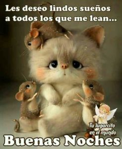 Saludos De Buenas Noches Con Imagenes Para Whatsapp