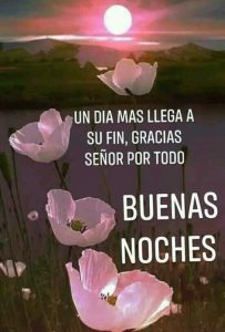 Saludos De Buenas Noches Para Mi Amor